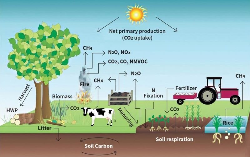 Process of Carbon Farming