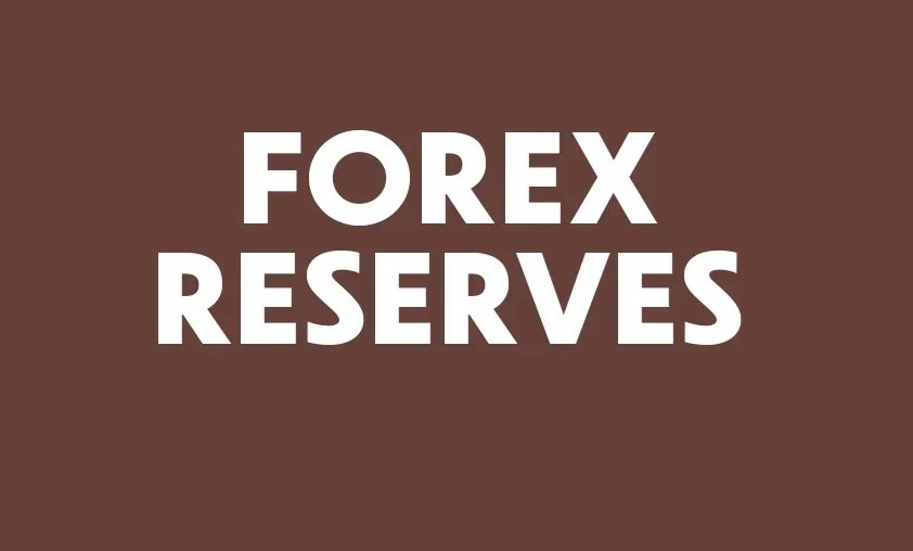 Understanding Foreign Exchange Reserves