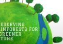 Guardians of Biodiversity: The Vital Role of Rainforests