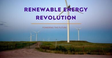 The Rise and Impact of Renewable Energy