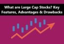 What are Large Cap Stocks? Key Features, Advantages & Drawbacks