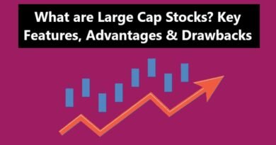 What are Large Cap Stocks? Key Features, Advantages & Drawbacks