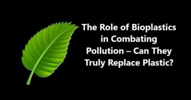 The Role of Bioplastics in Combating Pollution – Can They Truly Replace Plastic?