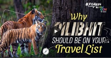 Pilibhit India’s Secret Tiger Haven You Need to See!