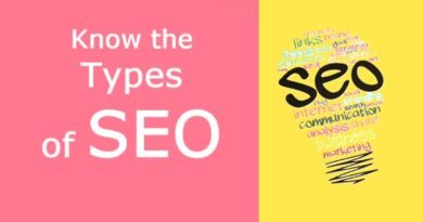 Types of SEO