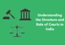 Understanding the Structure and Role of Courts in India