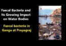 Faecal Bacteria and Its Growing Impact on Water Bodies