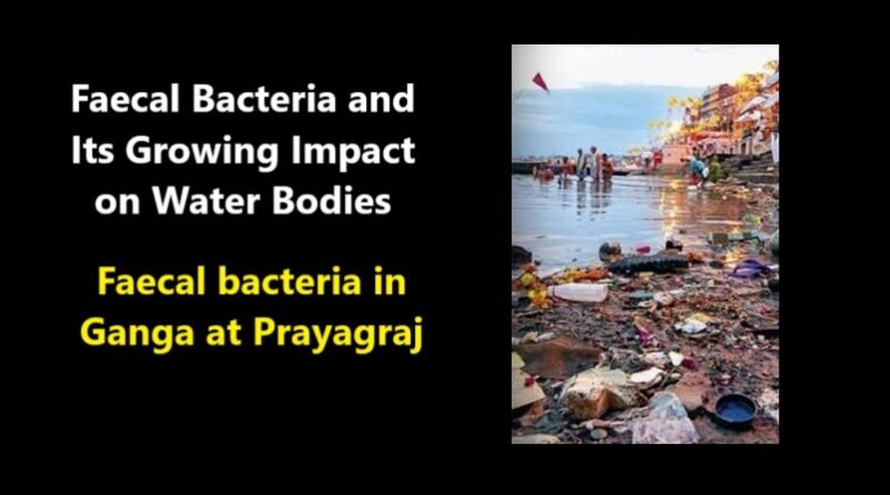 Faecal Bacteria and Its Growing Impact on Water Bodies