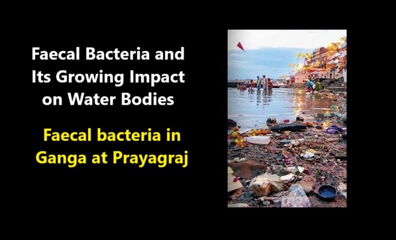 Faecal Bacteria and Its Growing Impact on Water Bodies