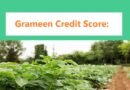 Grameen Credit Score