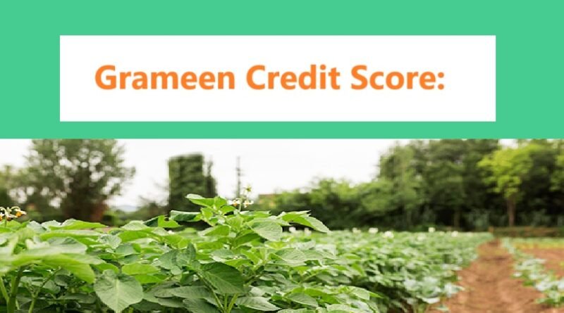 Grameen Credit Score