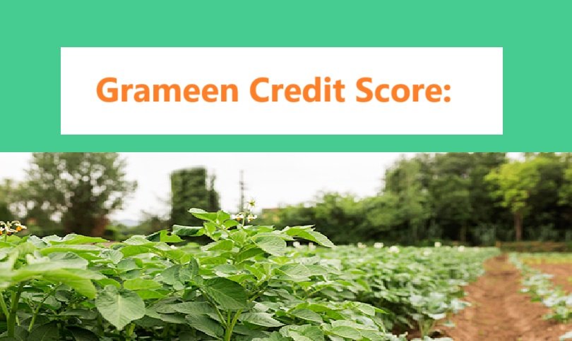 Grameen Credit Score