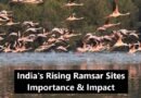 India's Rising Ramsar Sites: Importance & Impact