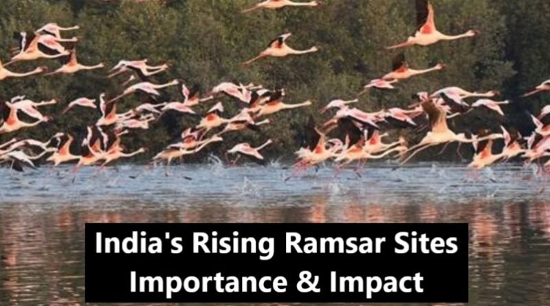 India's Rising Ramsar Sites: Importance & Impact