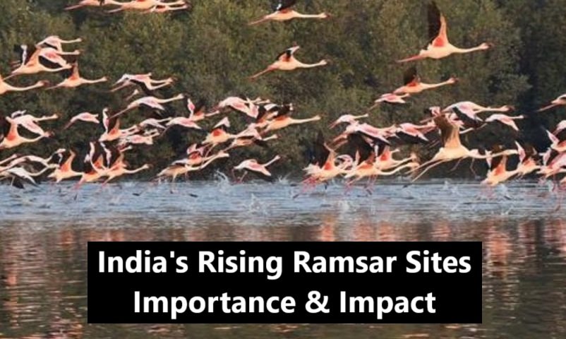 India's Rising Ramsar Sites: Importance & Impact