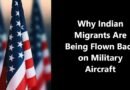 Why Indian Migrants Are Being Flown Back on Military Aircraft