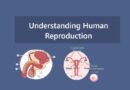 Understanding Human Reproduction