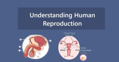 Understanding Human Reproduction