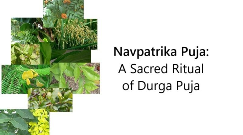 Navpatrika Puja: A Sacred Ritual of Durga Puja