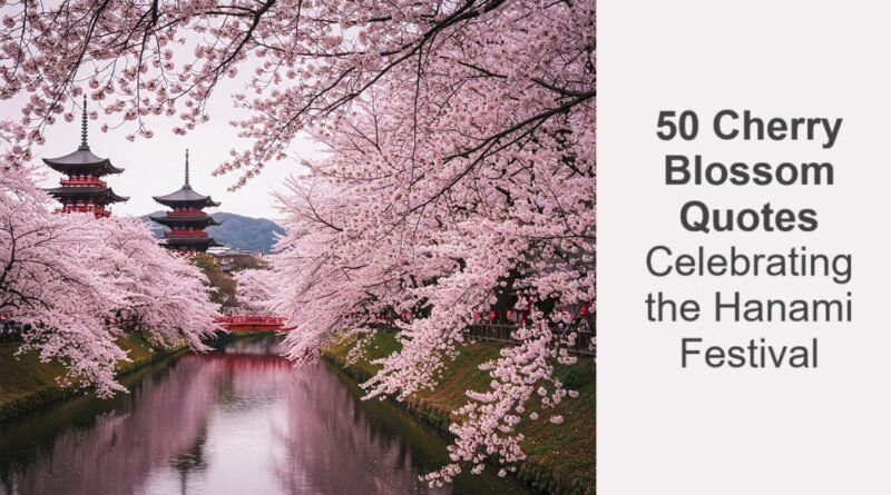 50 Cherry Blossom Quotes: Celebrating the Hanami Festival