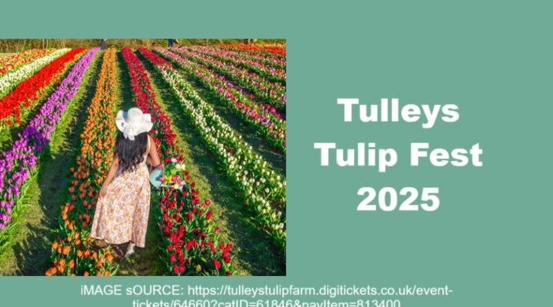 Tulleys Tulip Fest 2025