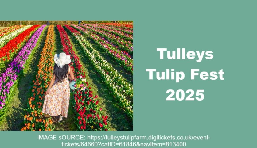 Tulleys Tulip Fest 2025: A Vibrant Celebration of Spring at Tulleys Farm