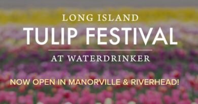 Long Island Tulip Festival 2025 at Waterdrinker Farms