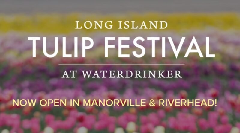 Long Island Tulip Festival 2025 at Waterdrinker Farms