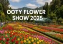 Ooty Flower Show 2025 – Dates, Highlights & Complete Summer Festival Schedule