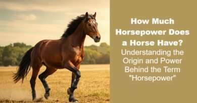 How Much Horsepower Does a Horse Have? Understanding the Origin and Power Behind the Term "Horsepower"