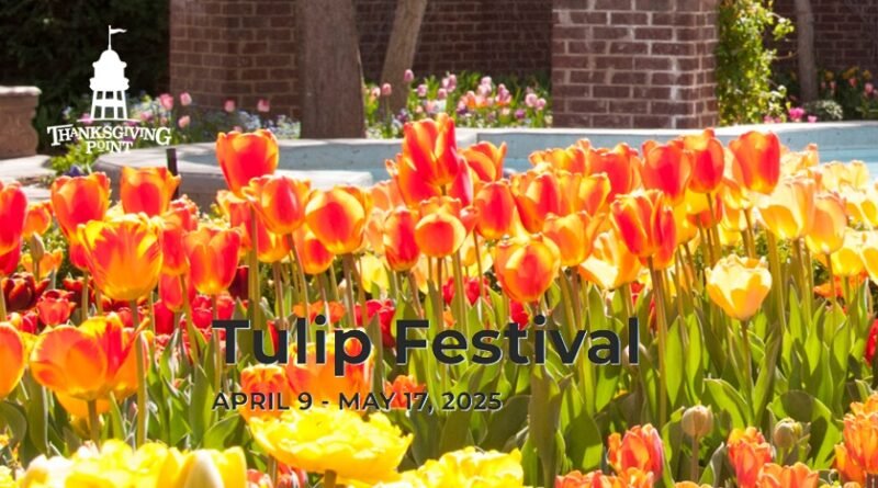 Thanksgiving Point Tulip Festival 2025: A Colorful Celebration of Spring