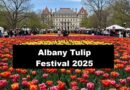Albany Tulip Festival 2025