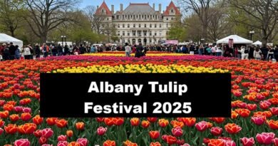 Albany Tulip Festival 2025