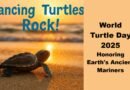 World Turtle Day 2025