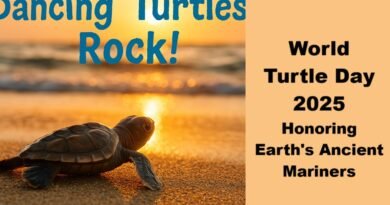 World Turtle Day 2025