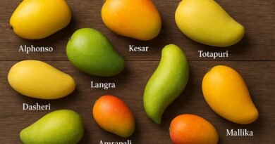 Explore Famous Mango Varieties in India