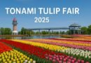 Tonami Tulip Fair 2025