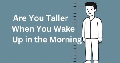 Are You Taller When You Wake Up in the Morning?
