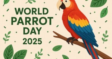 World Parrot Day 2025: Wishes, Captions & Quotes