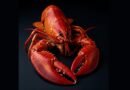 Where Can You Find a Lobster’s Teeth?