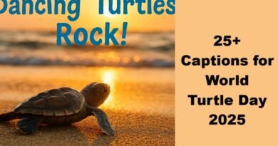 25+ Captions for World Turtle Day 2025