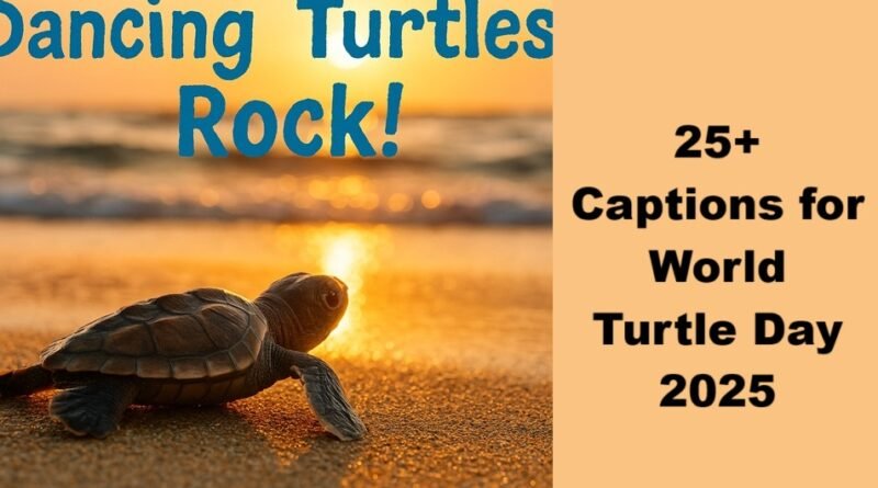 25+ Captions for World Turtle Day 2025