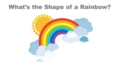 What’s the Shape of a Rainbow?