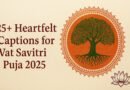 25+ Captions for Vat Savitri Puja 2025