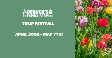 DeBuck’s Family Farm Tulip Festival in Belleville, Michigan