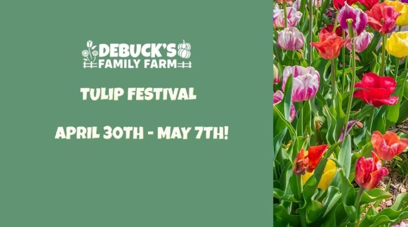 DeBuck’s Family Farm Tulip Festival in Belleville, Michigan