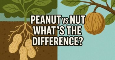 Are Peanuts Peas or Nuts?