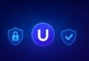 Ulaa Browser: Redefining Privacy and Productivity in the Digital Age (2025)