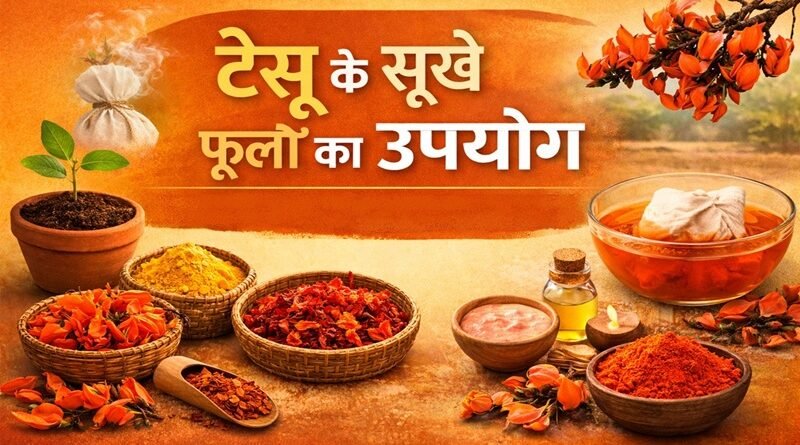 होली के बाद टेसू के सूखे फूलों का कैसे करें इस्तेमाल